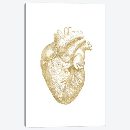 Heart Anatomical Gold Canvas Print #WAO116} by Willow & Olive Art Print