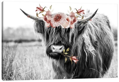 Highland Cow With Flowers Canvas Art Print - Farm Animal Art