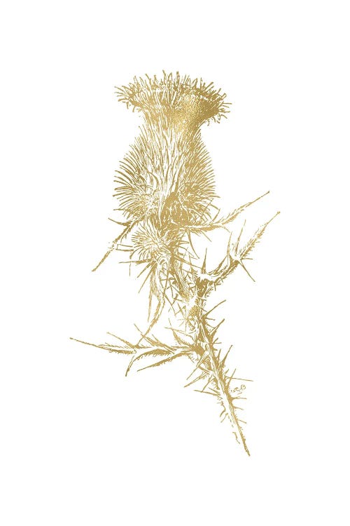 Thistle I Gold