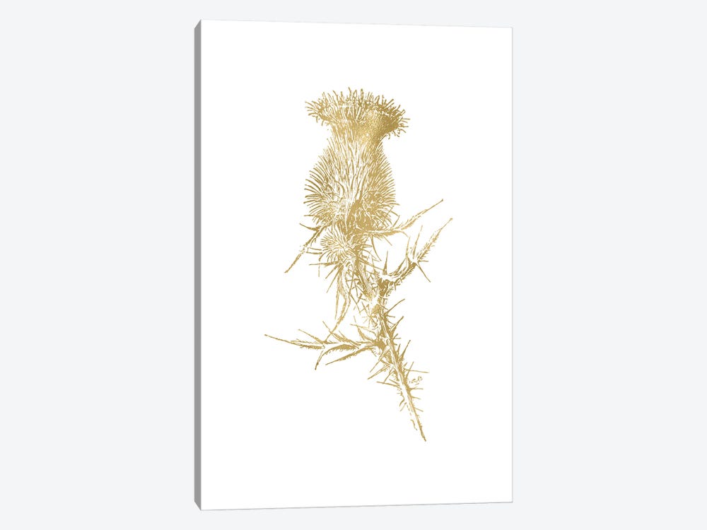 Thistle I Gold by Willow & Olive 1-piece Canvas Art Print