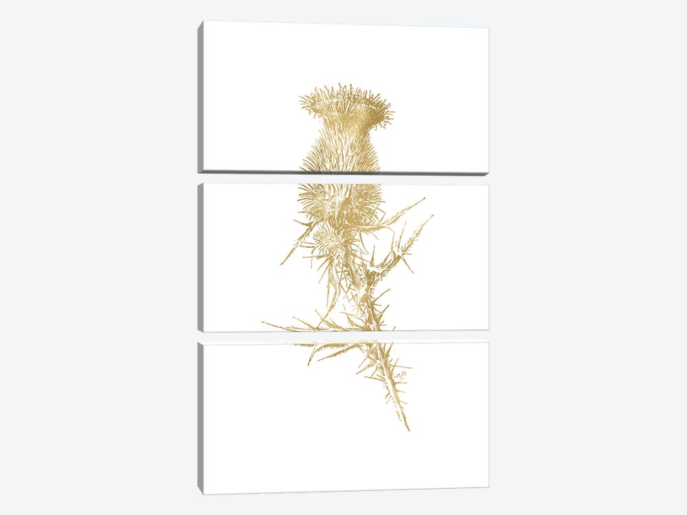 Thistle I Gold by Willow & Olive 3-piece Canvas Print