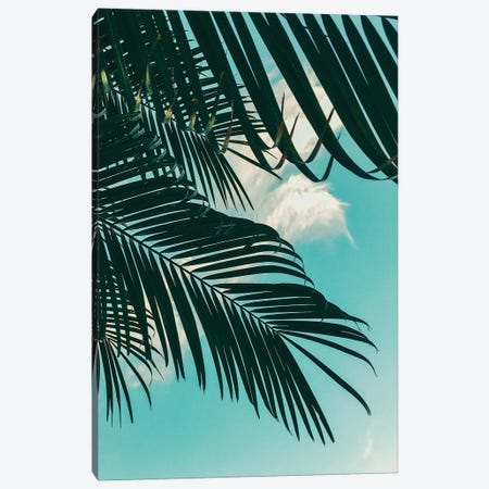 Tropical Palms Canvas Print #WAO133} by Willow & Olive Canvas Art