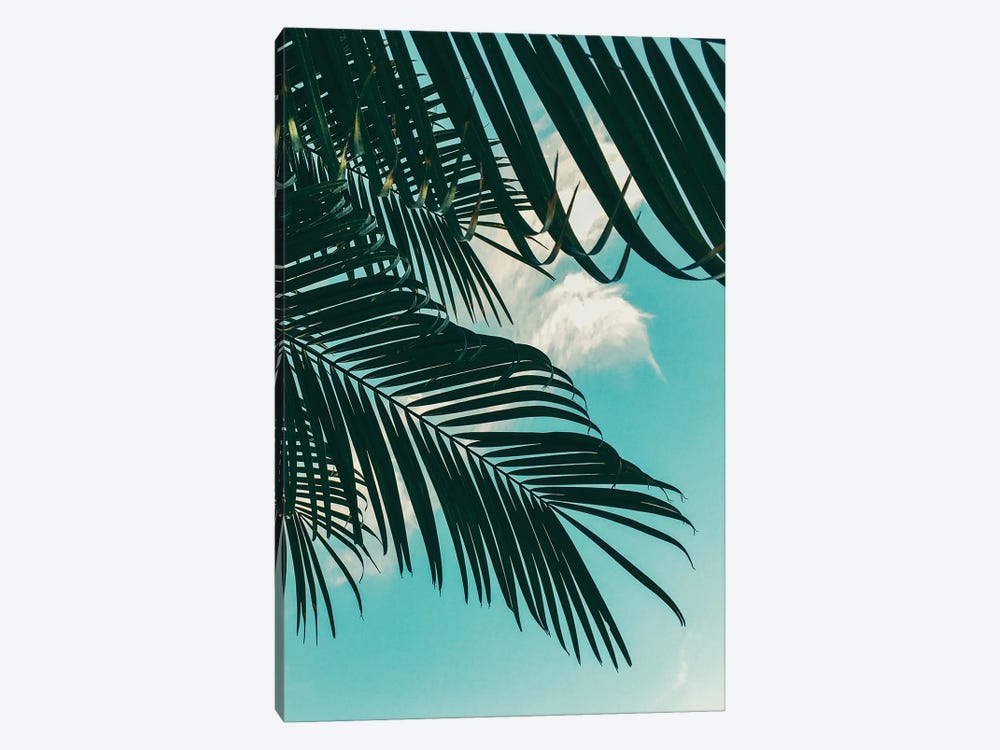 Tropical Palms by Willow & Olive 1-piece Canvas Wall Art