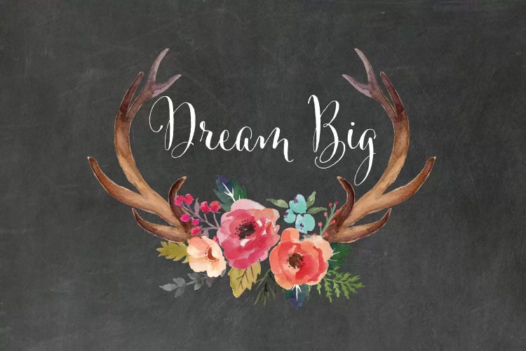 Dream Big Antlers