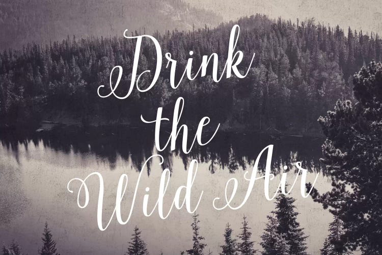 Drink The Wild Air