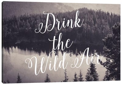 Drink The Wild Air Canvas Art Print - Willow & Olive by Amy Brinkman