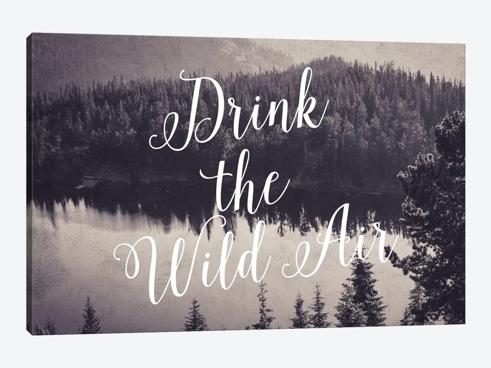Drink The Wild Air by Willow & Olive 1-piece Canvas Print