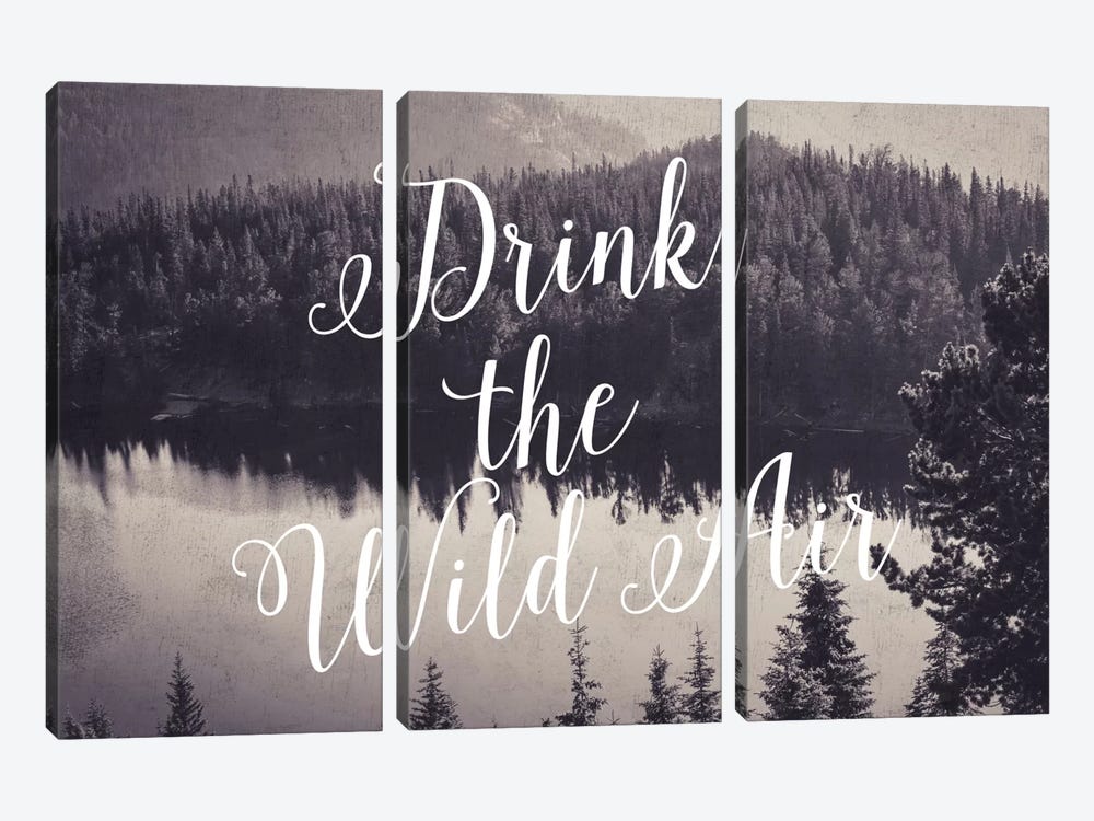 Drink The Wild Air by Willow & Olive 3-piece Art Print