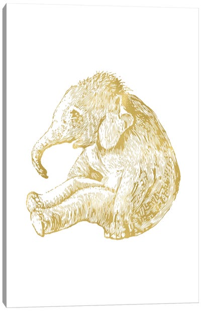 Elephant Baby Gold Canvas Art Print - Gold & White Art