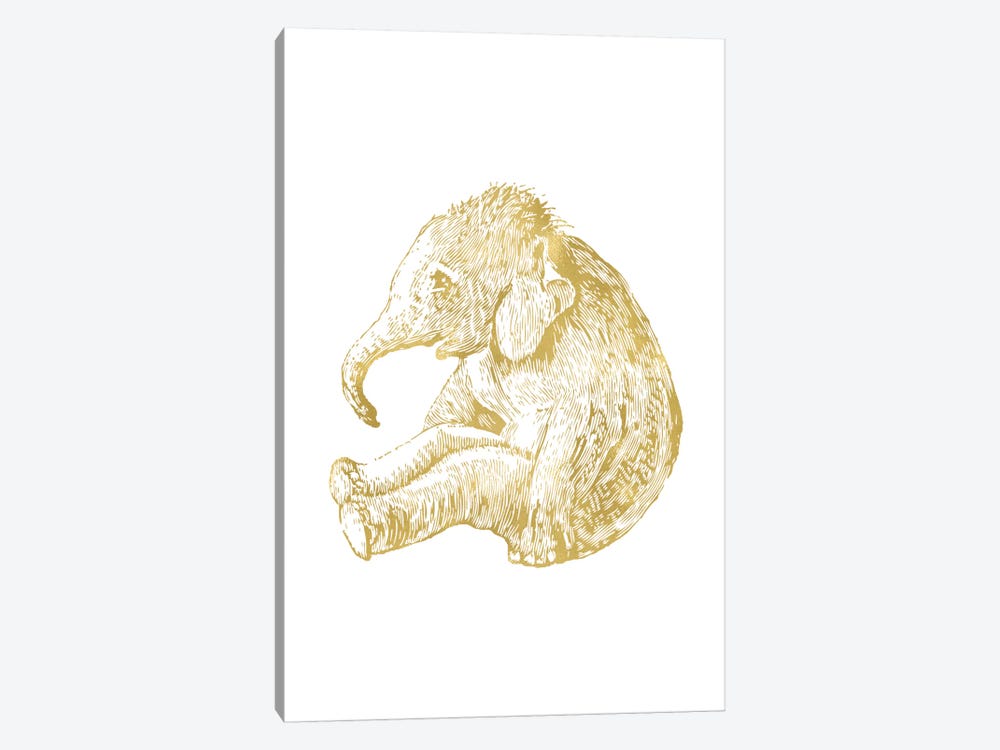 Elephant Baby Gold by Willow & Olive 1-piece Canvas Wall Art