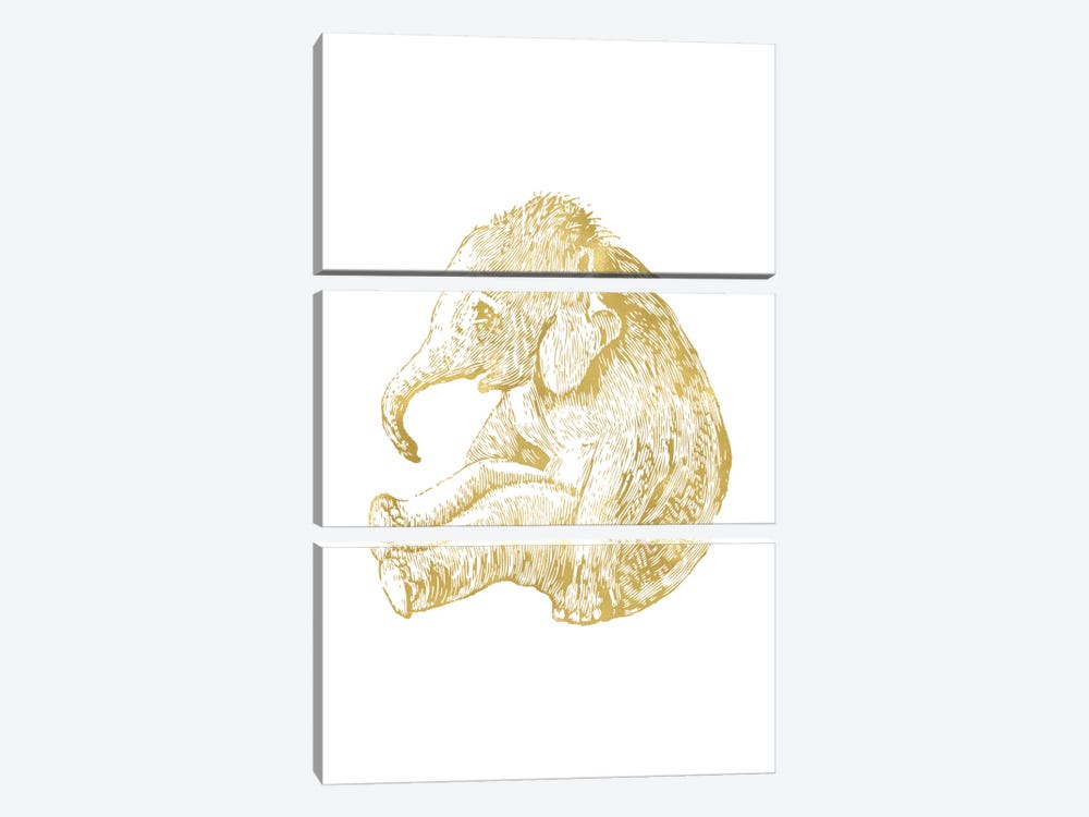 Elephant Baby Gold by Willow & Olive 3-piece Canvas Wall Art