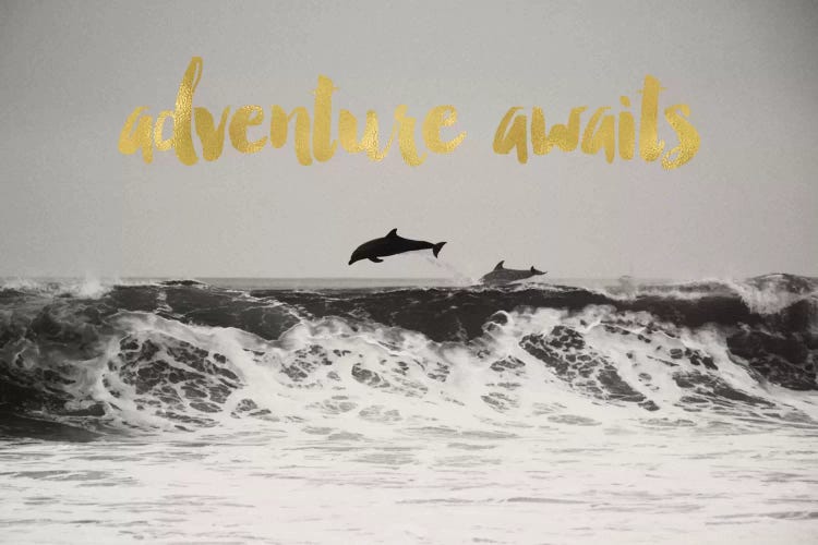 Adventure Awaits Gold