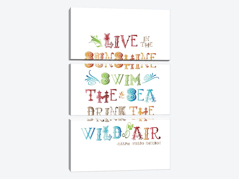 Live In The Sunshine Multi-color - Emerson by Willow & Olive 3-piece Canvas Art