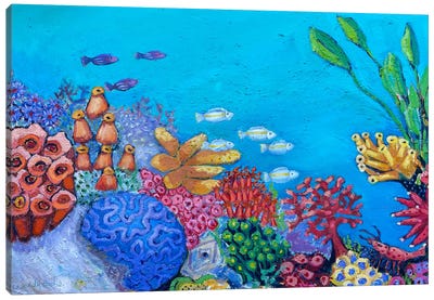 Tropical Fish Canvas Art Print - Wendy Bache