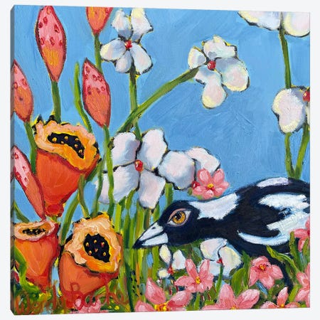 Curious Magpie Canvas Print #WBC106} by Wendy Bache Canvas Artwork