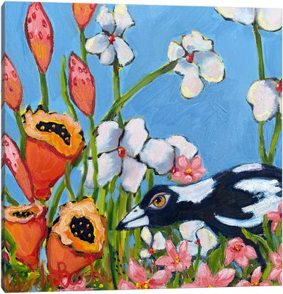 Curious Magpie Canvas Art Print - Wendy Bache