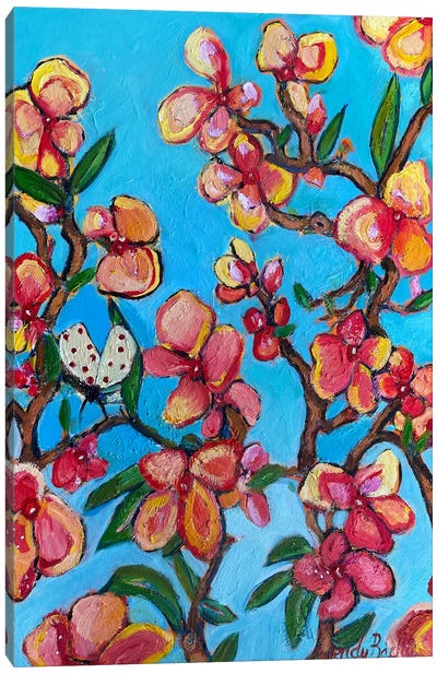 Blossom Canvas Art Print - Wendy Bache