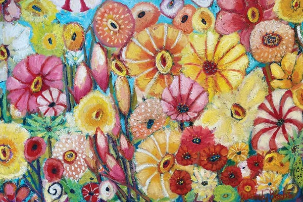 Wendy Bache: Seasons by Wendy Bache