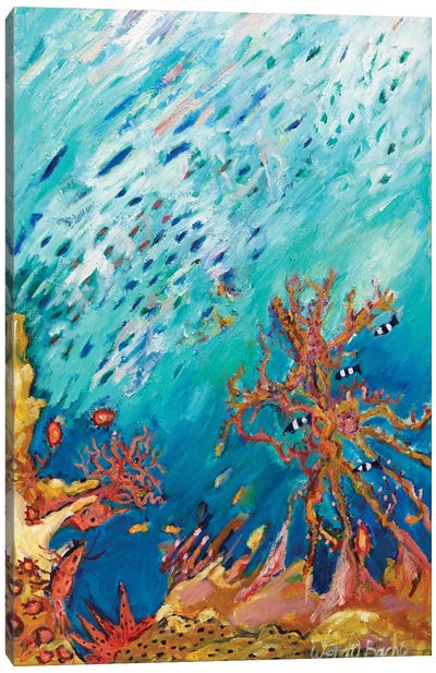 Coral Canvas Art Print - Wendy Bache