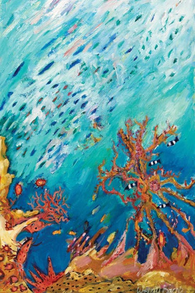 Wendy Bache: Coral by Wendy Bache