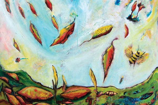 Wendy Bache: Environment by Wendy Bache