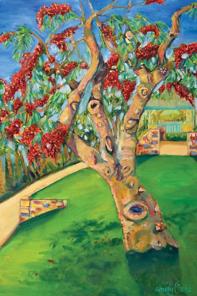 Wendy Bache: Tannum Poinciana by Wendy Bache