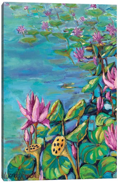 Peaceful Lotus Canvas Art Print - Wendy Bache