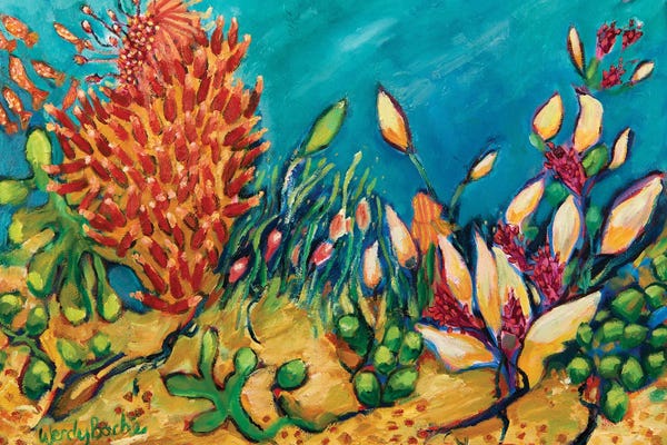 Wendy Bache: Under The Sea by Wendy Bache