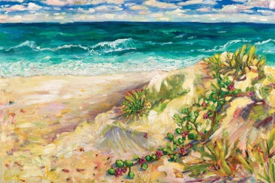 Turquoise Water by Wendy Bache canvas print