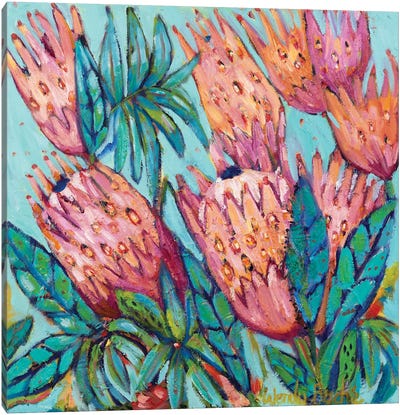 Protea Bloom Canvas Art Print - Protea