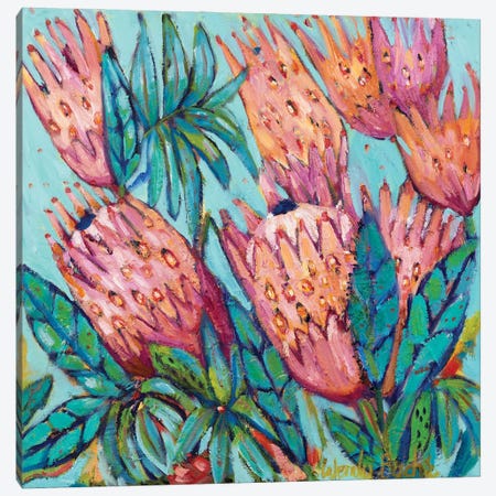 Protea Bloom Canvas Print #WBC33} by Wendy Bache Canvas Art