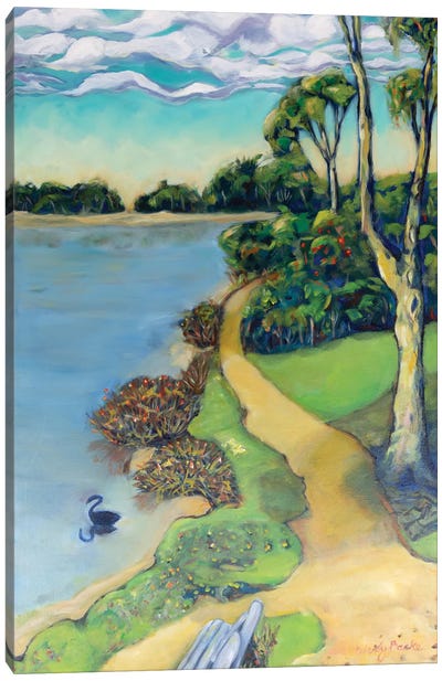 Black Swan Canvas Art Print - Wendy Bache