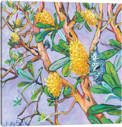 Banksia II Canvas Art Print - Wendy Bache