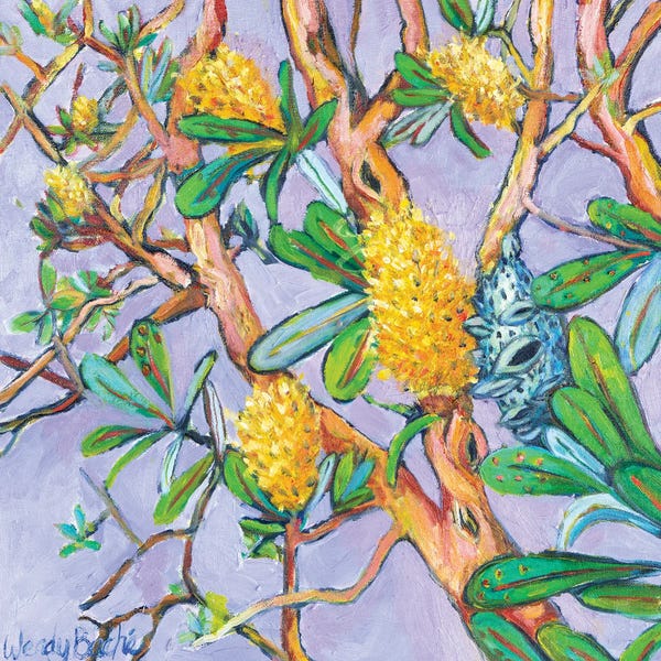 Wendy Bache: Banksia II by Wendy Bache
