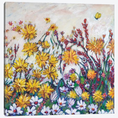 Sun Kissed Field Canvas Print #WBC52} by Wendy Bache Canvas Art