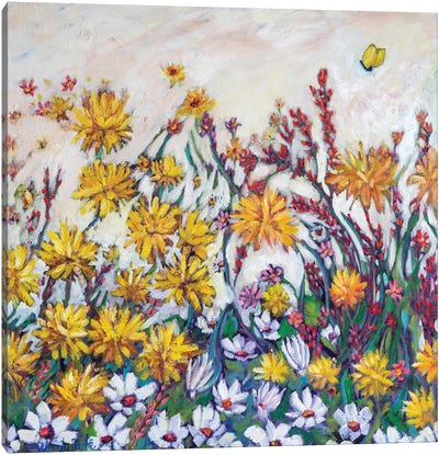 Sun Kissed Field Canvas Art Print - Wendy Bache