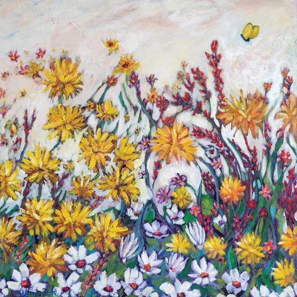 Wendy Bache: Sun Kissed Field by Wendy Bache