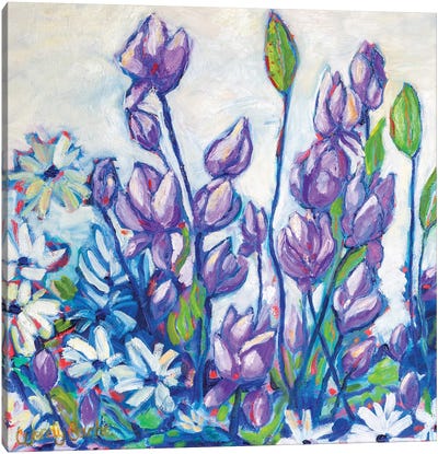 Lovely Lavender Canvas Art Print - Wendy Bache
