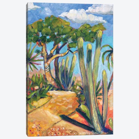 Cactus Path Canvas Print #WBC58} by Wendy Bache Canvas Art