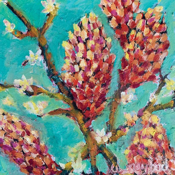 Blossoms: Bush Blossom II by Wendy Bache