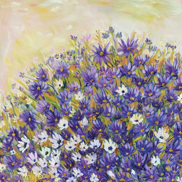 Wendy Bache: Day Break by Wendy Bache