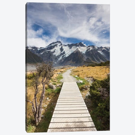 New Zealand, South Island, Canterbury, Trail through Aoraki-Mt. Cook National Park Canvas Print #WBI100} by Walter Bibikow Canvas Print