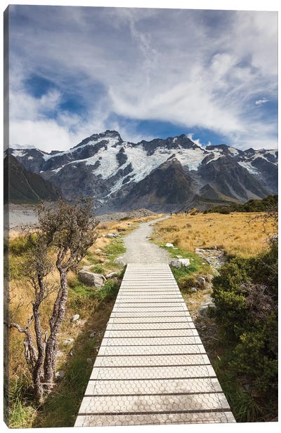 New Zealand, South Island, Canterbury, Trail through Aoraki-Mt. Cook National Park Canvas Art Print - Walter Bibikow