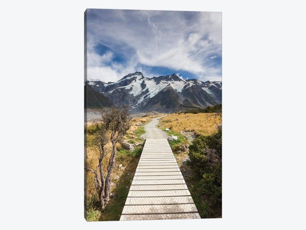 New Zealand, South Island, Canterbury, Trail through Aoraki-Mt. Cook National Park by Walter Bibikow 1-piece Canvas Art