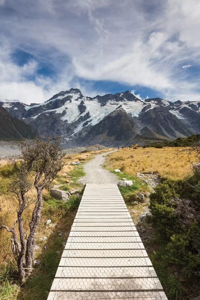 Snowy Mountains: New Zealand, South Island, Canterbury, Trail through Aoraki-Mt. Cook National Park by Walter Bibikow