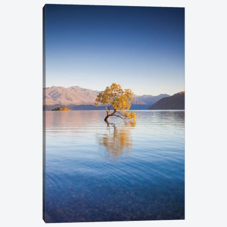 New Zealand, South Island, Otago, Wanaka, Lake Wanaka, solitary tree, dawn I Canvas Print #WBI105} by Walter Bibikow Canvas Artwork