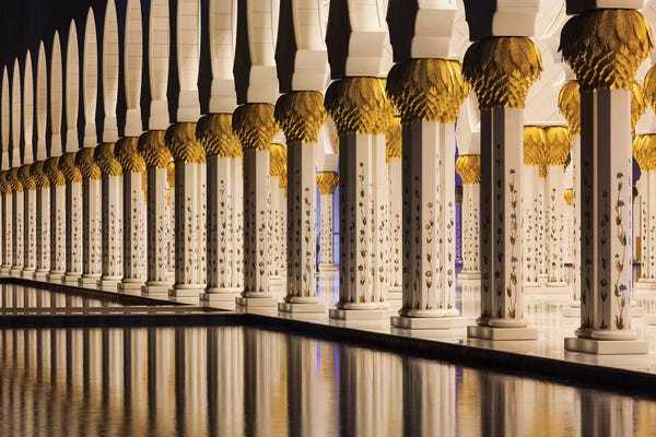 UAE, Abu Dhabi. Sheikh Zayed bin Sultan Mosque arches I