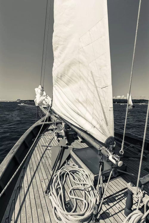 USA, Massachusetts, Cape Ann, Gloucester, schooner sails 