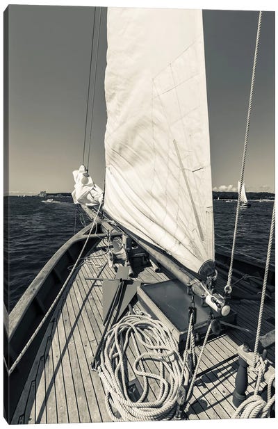 USA, Massachusetts, Cape Ann, Gloucester, schooner sails  Canvas Art Print - Sepia Photography