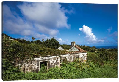 Portugal, Azores, Faial Island, Norte Pequeno. Ruins of building damaged by volcanic eruption Canvas Art Print - Walter Bibikow